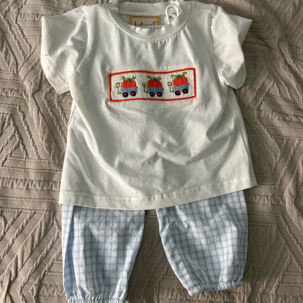 18 mo Smocked Fall Outfit